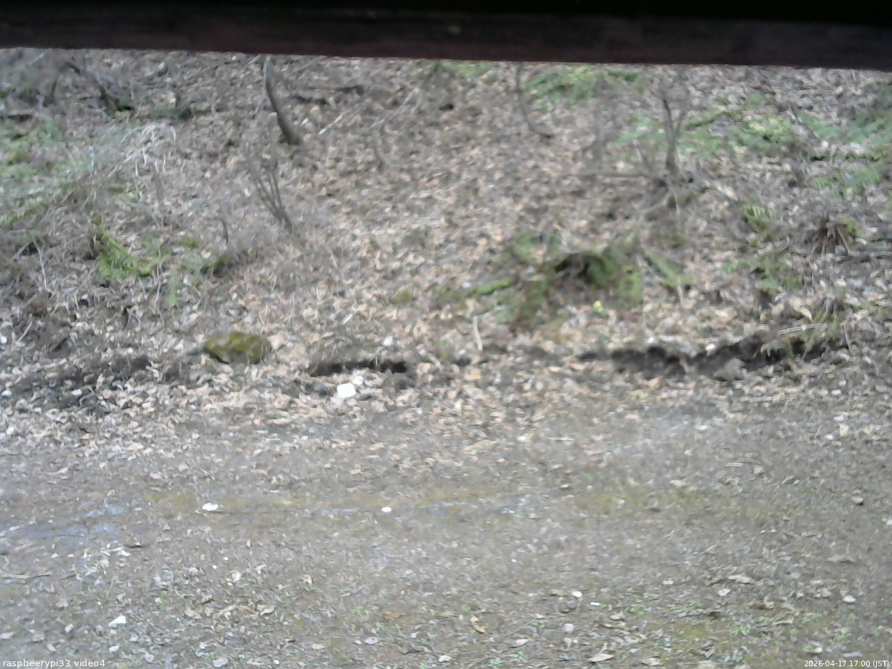 長野県菅平高原 ゆたか山荘 東側(坂下) 2026/04/17 17:00