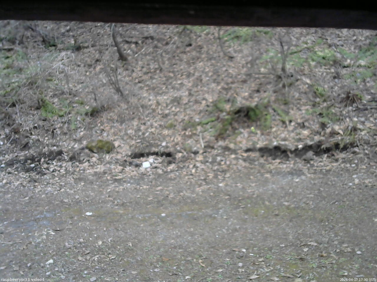 長野県菅平高原 ゆたか山荘 東側(坂下) 2026/04/17 17:30