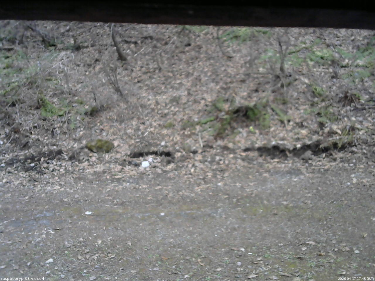 長野県菅平高原 ゆたか山荘 東側(坂下) 2026/04/17 17:45