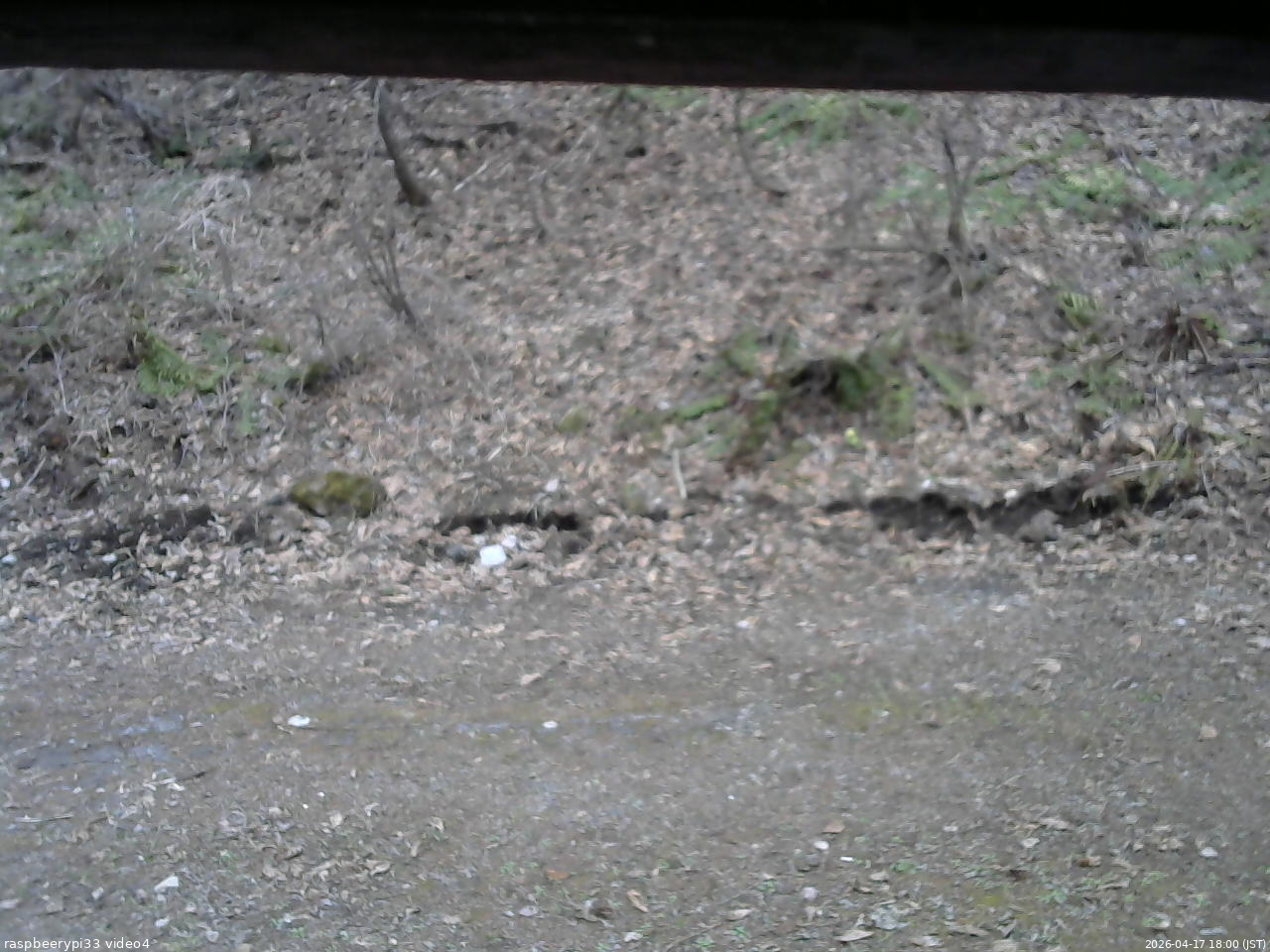 長野県菅平高原 ゆたか山荘 東側(坂下) 2026/04/17 18:00