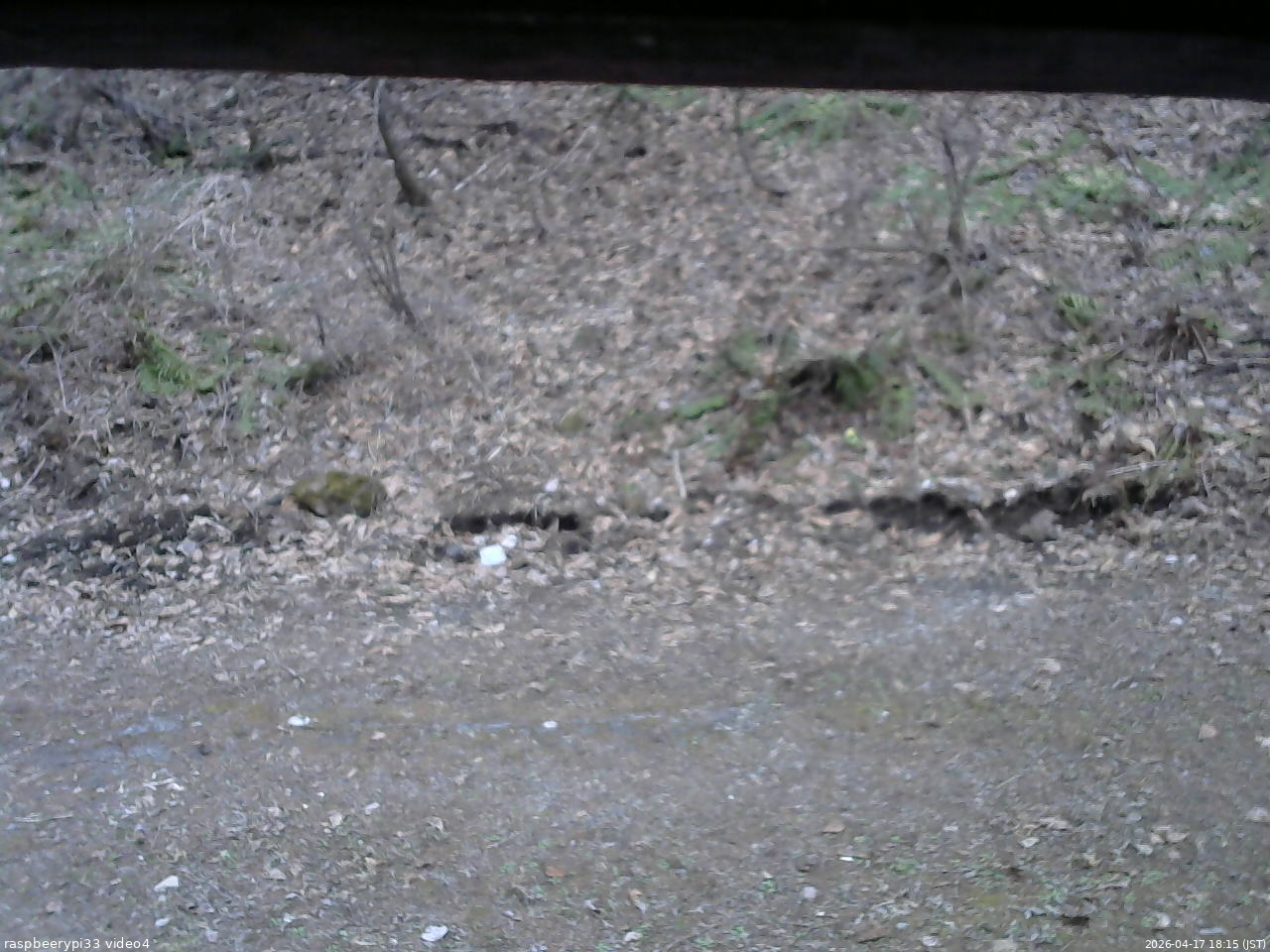 長野県菅平高原 ゆたか山荘 東側(坂下) 2026/04/17 18:15