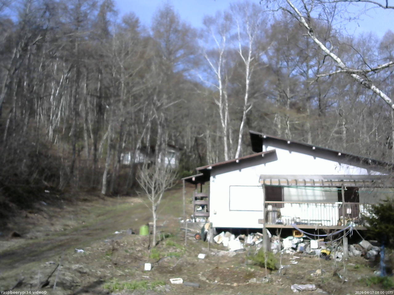 長野県菅平高原 ゆたか山荘 西側(坂上) 2026/04/17 08:00