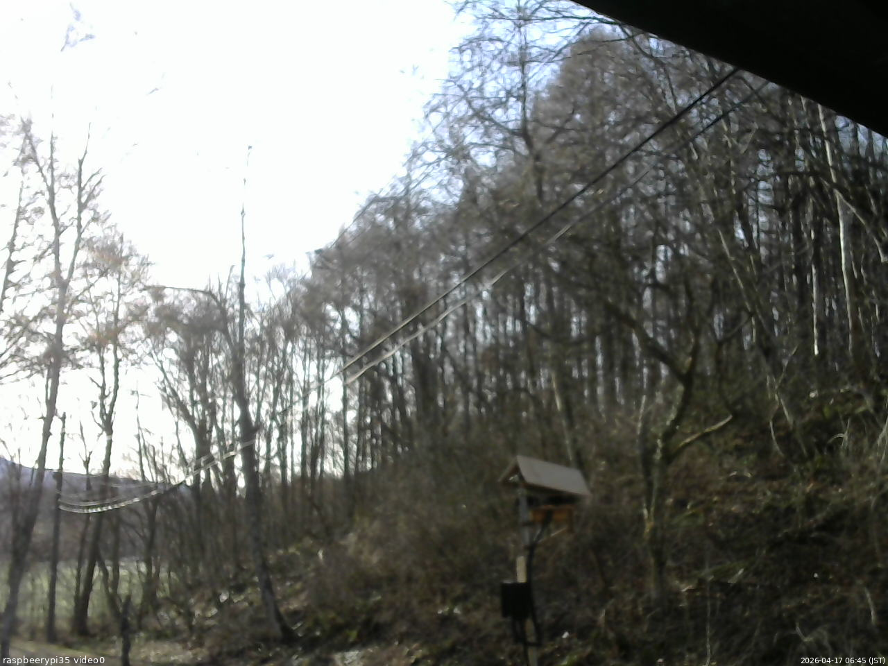 長野県菅平高原 ゆたか山荘 温度計 2026/04/17 06:45