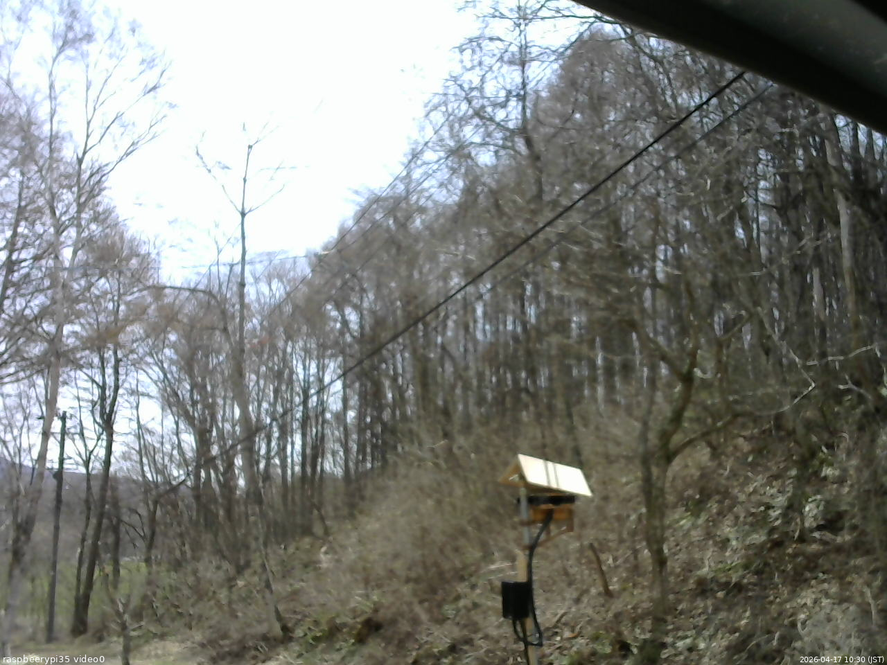 長野県菅平高原 ゆたか山荘 温度計 2026/04/17 10:30