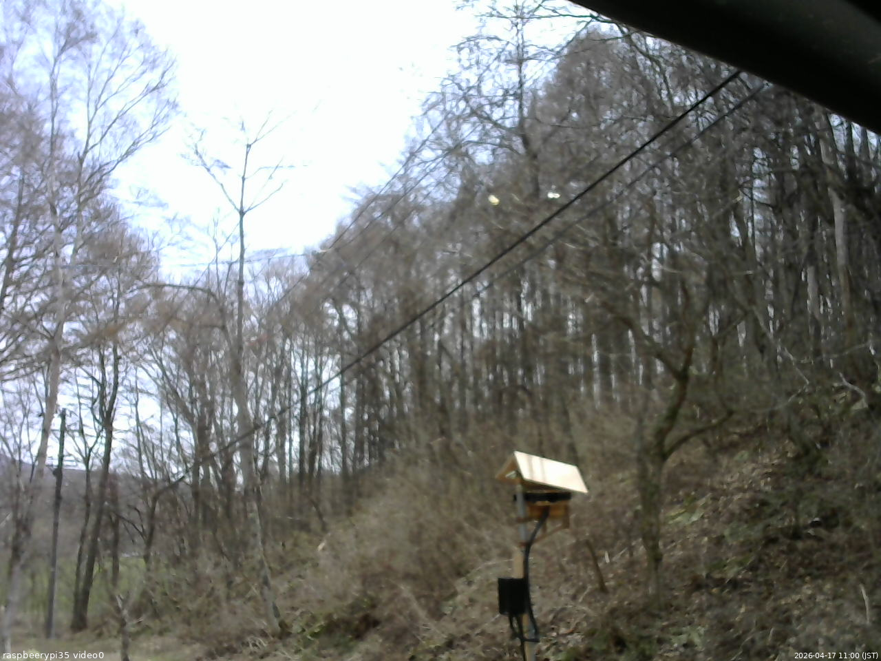 長野県菅平高原 ゆたか山荘 温度計 2026/04/17 11:00