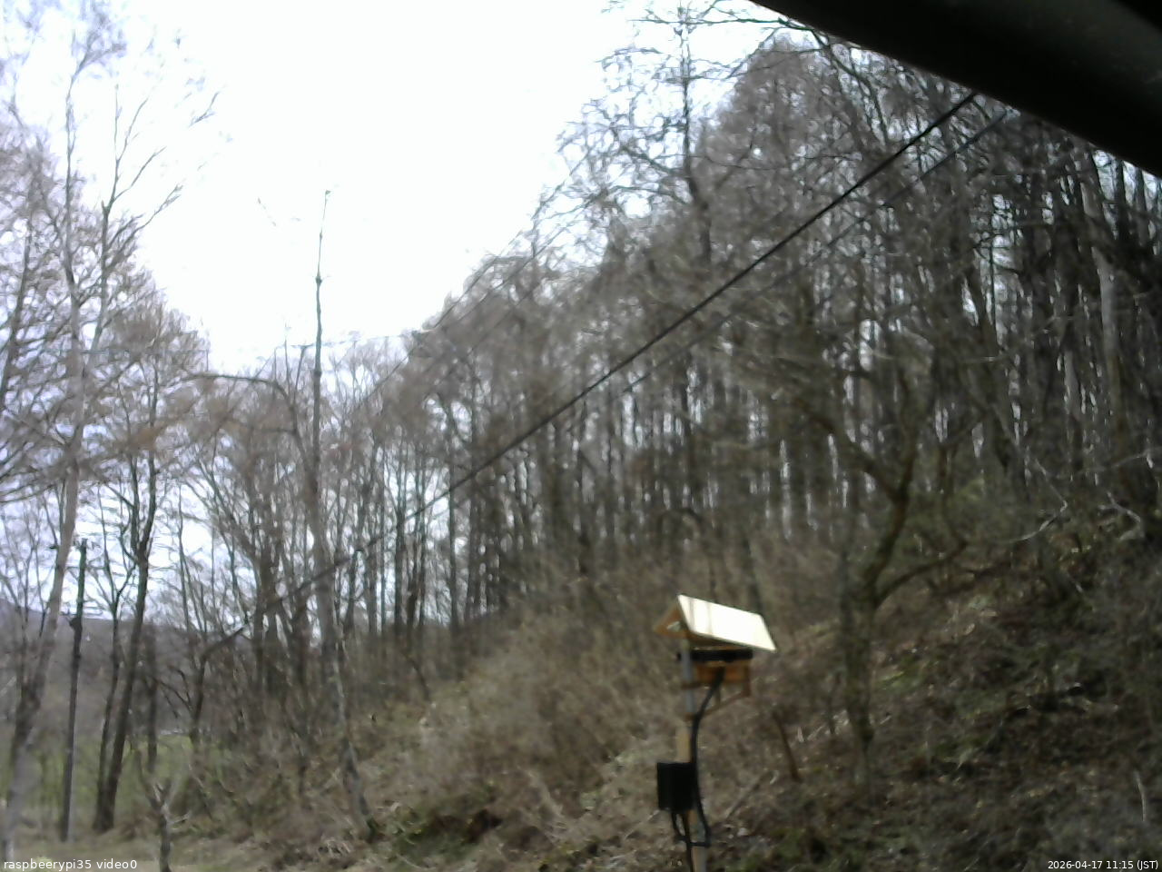 長野県菅平高原 ゆたか山荘 温度計 2026/04/17 11:15