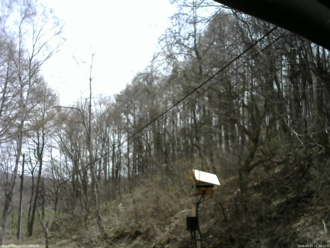 長野県菅平高原 ゆたか山荘 温度計 2026/04/17 11:30