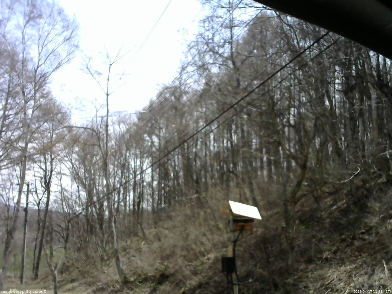 長野県菅平高原 ゆたか山荘 温度計 2026/04/17 11:45