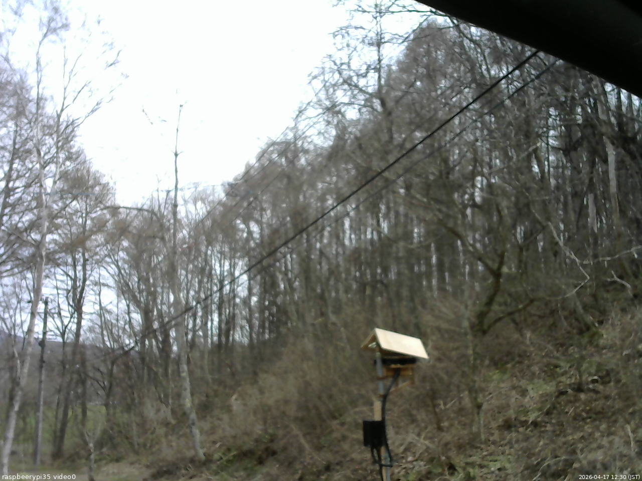 長野県菅平高原 ゆたか山荘 温度計 2026/04/17 12:30