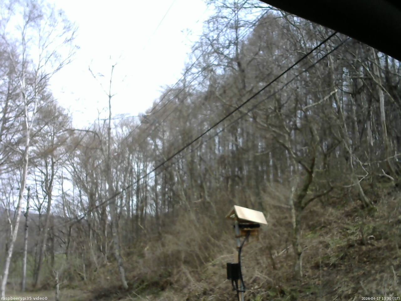 長野県菅平高原 ゆたか山荘 温度計 2026/04/17 13:30