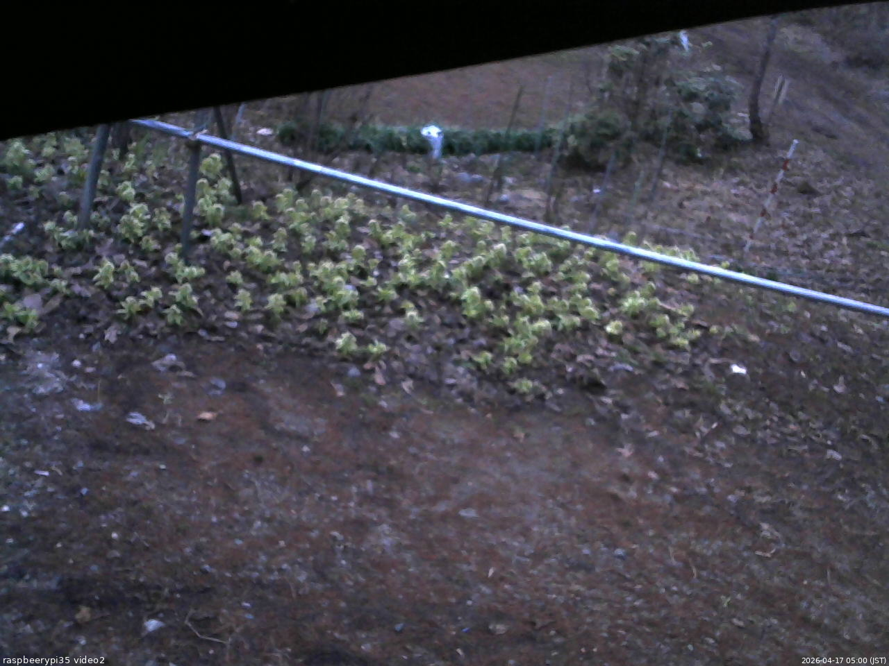 長野県菅平高原 ゆたか山荘 駐車場 2026/04/17 05:00