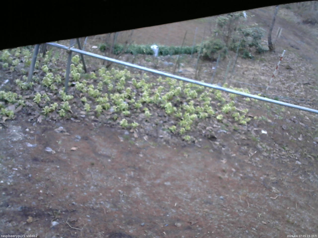 長野県菅平高原 ゆたか山荘 駐車場 2026/04/17 05:15