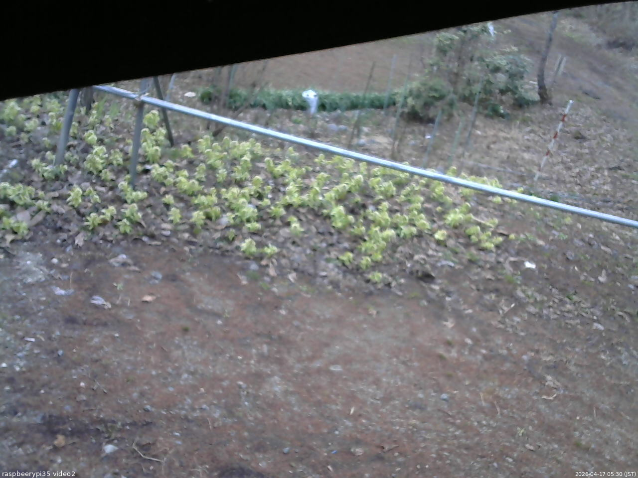 長野県菅平高原 ゆたか山荘 駐車場 2026/04/17 05:30