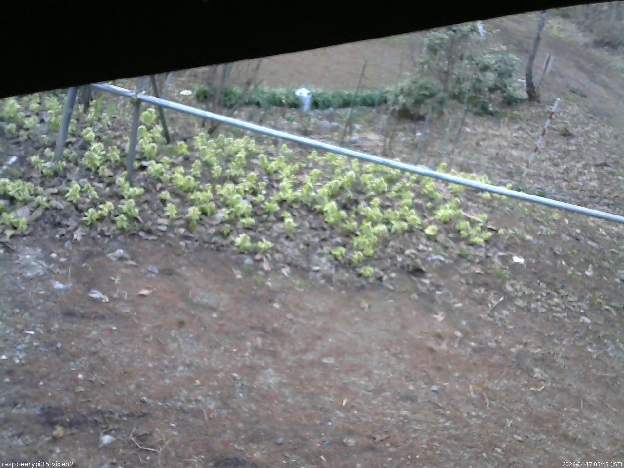 長野県菅平高原 ゆたか山荘 駐車場 2026/04/17 05:45