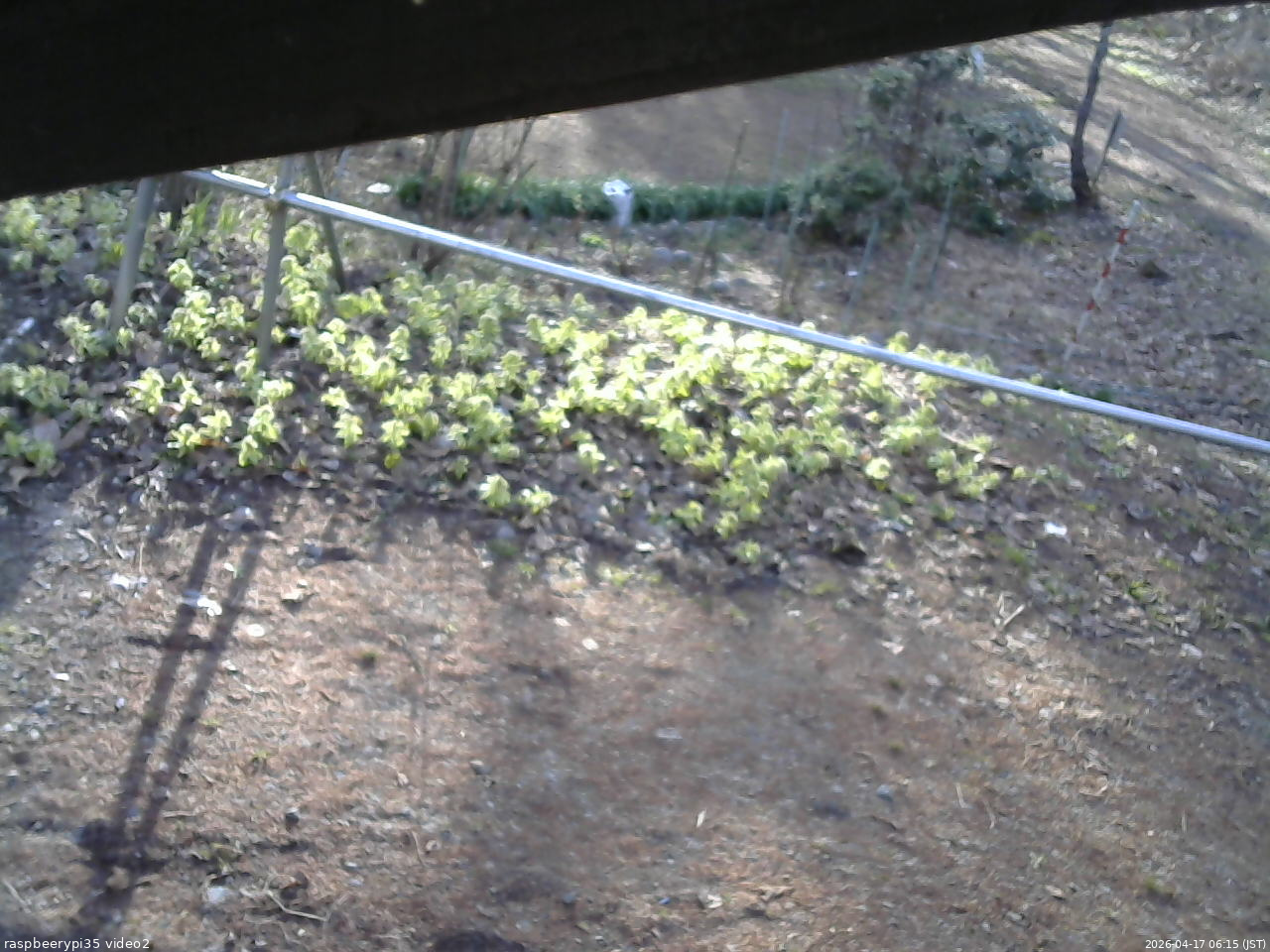 長野県菅平高原 ゆたか山荘 駐車場 2026/04/17 06:15