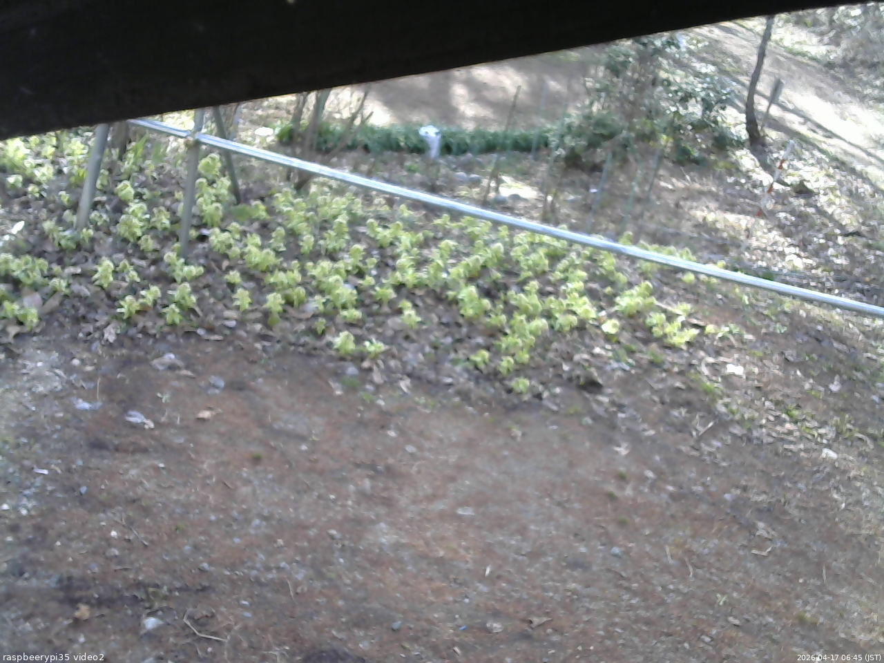 長野県菅平高原 ゆたか山荘 駐車場 2026/04/17 06:45