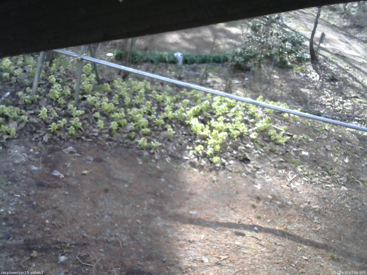 長野県菅平高原 ゆたか山荘 駐車場 2026/04/17 07:00