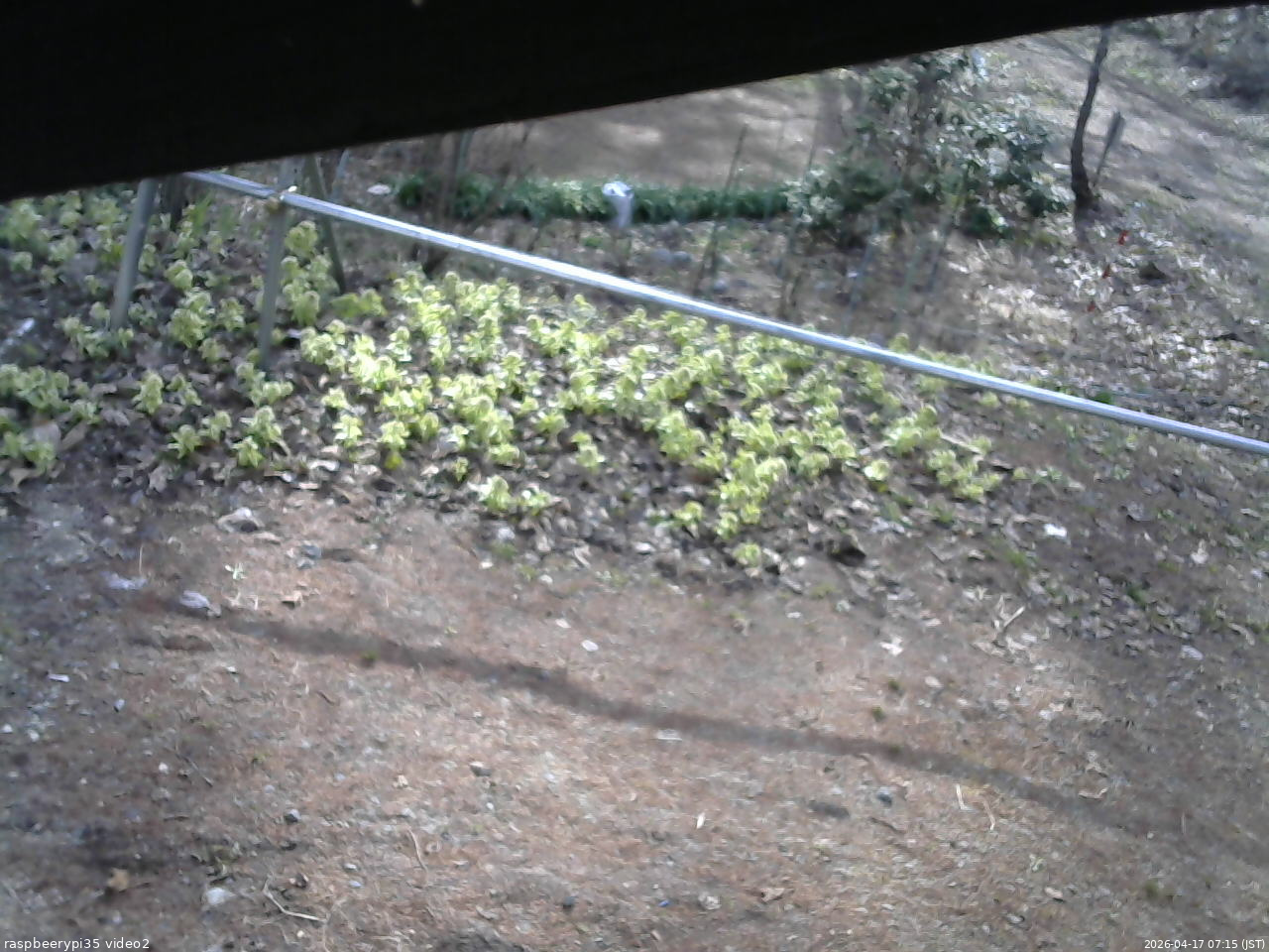長野県菅平高原 ゆたか山荘 駐車場 2026/04/17 07:15