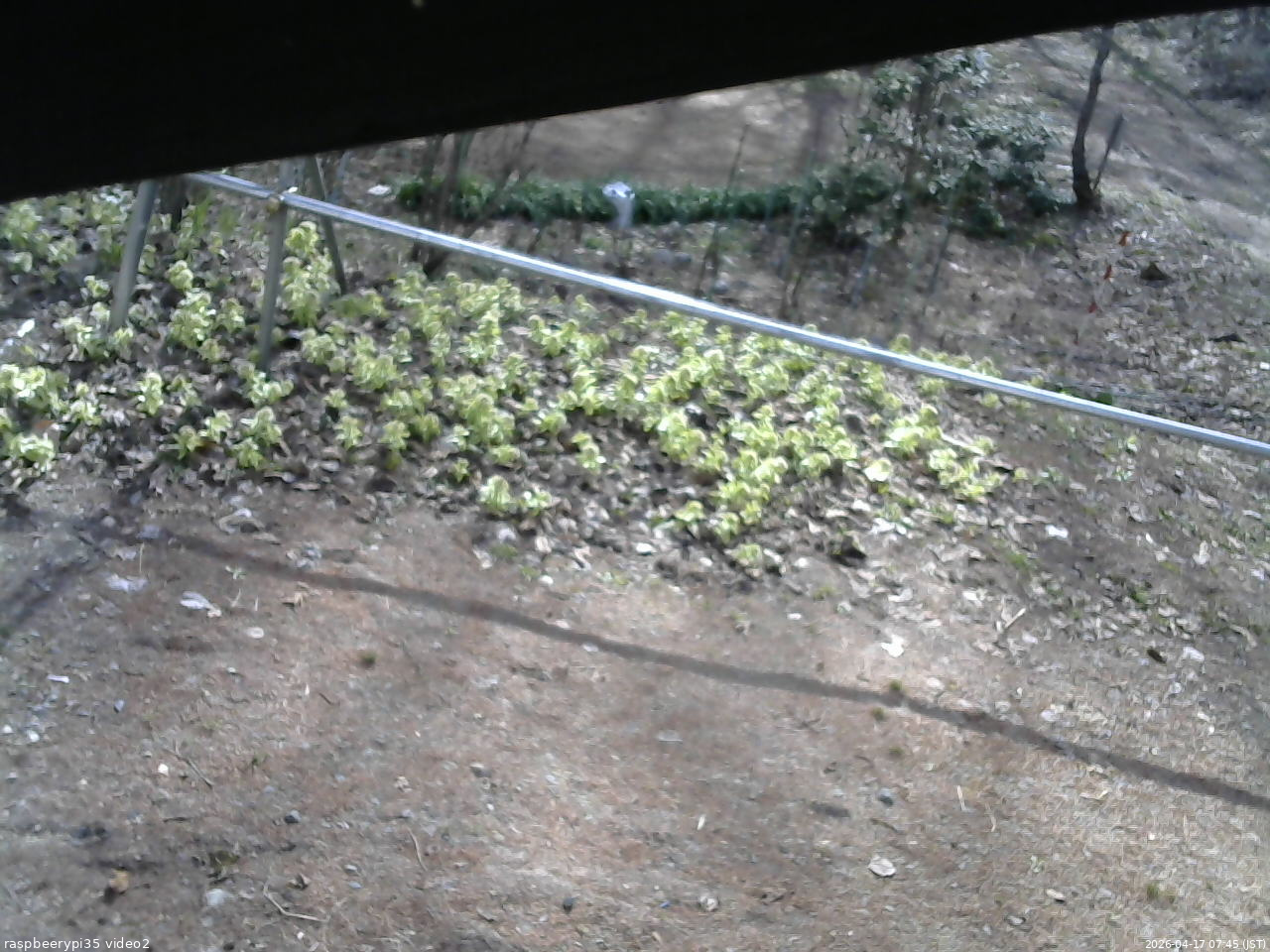 長野県菅平高原 ゆたか山荘 駐車場 2026/04/17 07:45