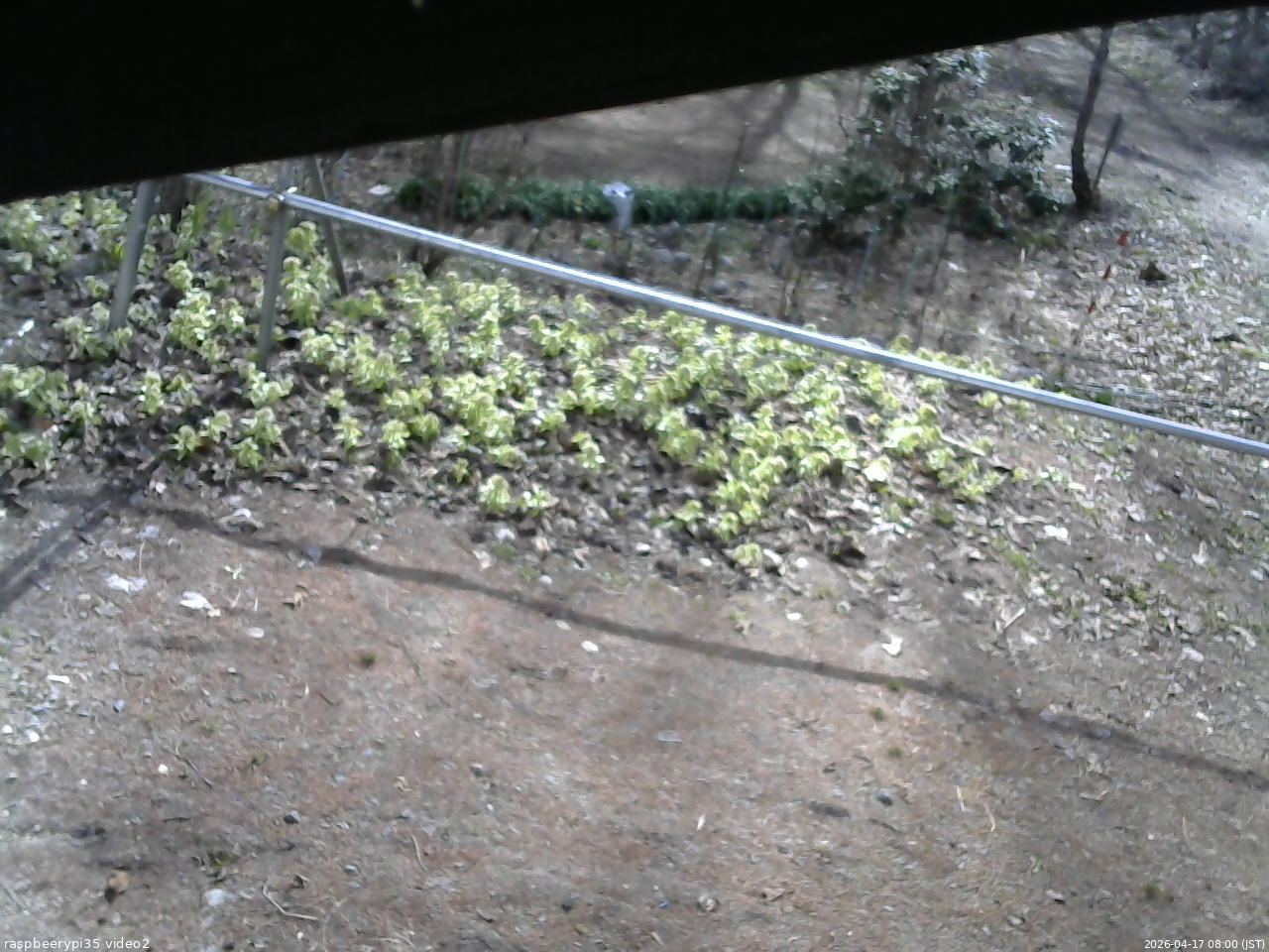 長野県菅平高原 ゆたか山荘 駐車場 2026/04/17 08:00