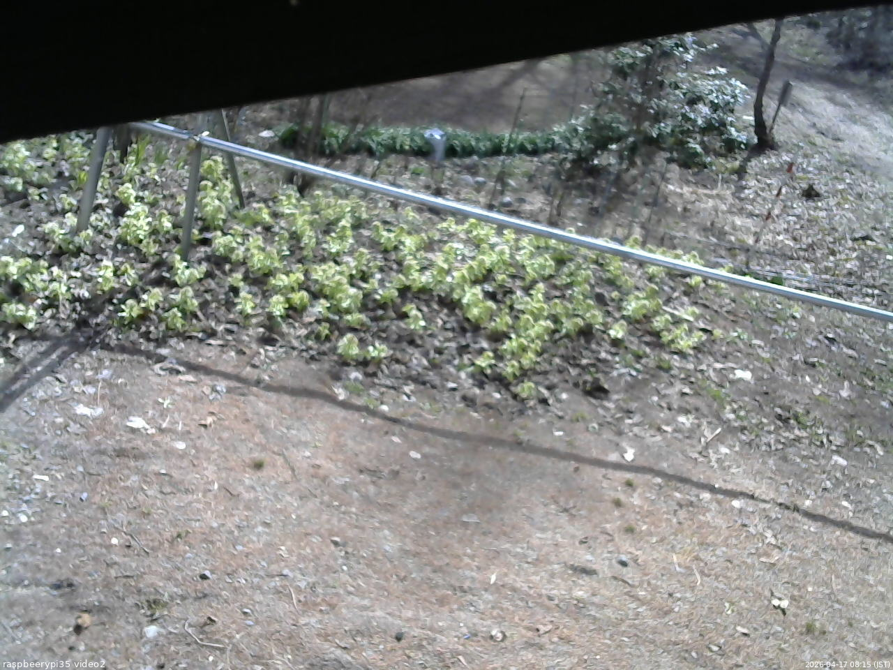 長野県菅平高原 ゆたか山荘 駐車場 2026/04/17 08:15