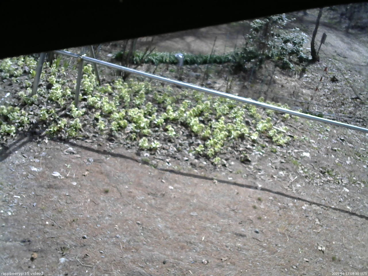 長野県菅平高原 ゆたか山荘 駐車場 2026/04/17 08:30