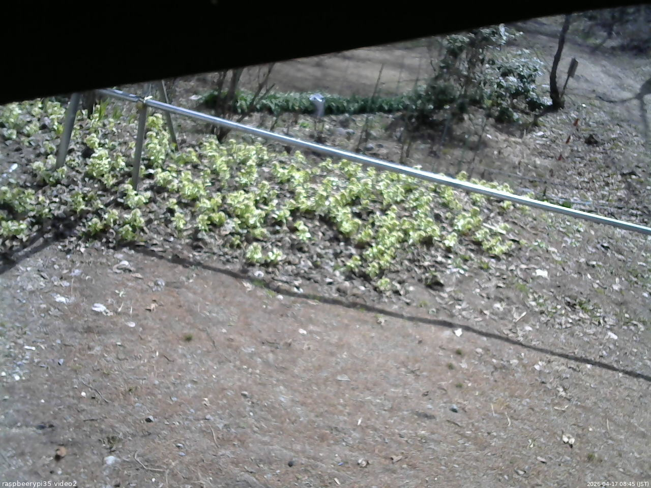 長野県菅平高原 ゆたか山荘 駐車場 2026/04/17 08:45