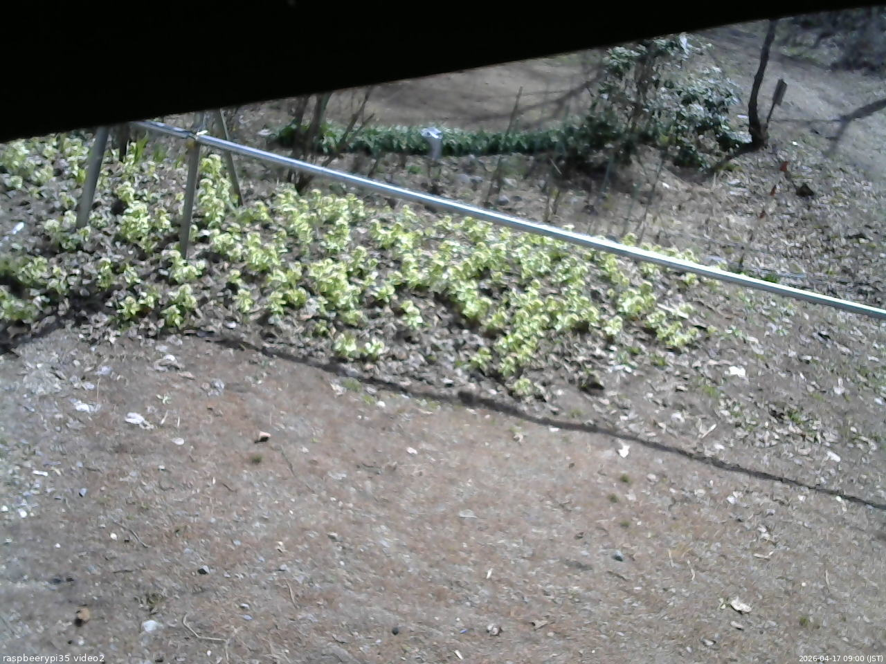 長野県菅平高原 ゆたか山荘 駐車場 2026/04/17 09:00