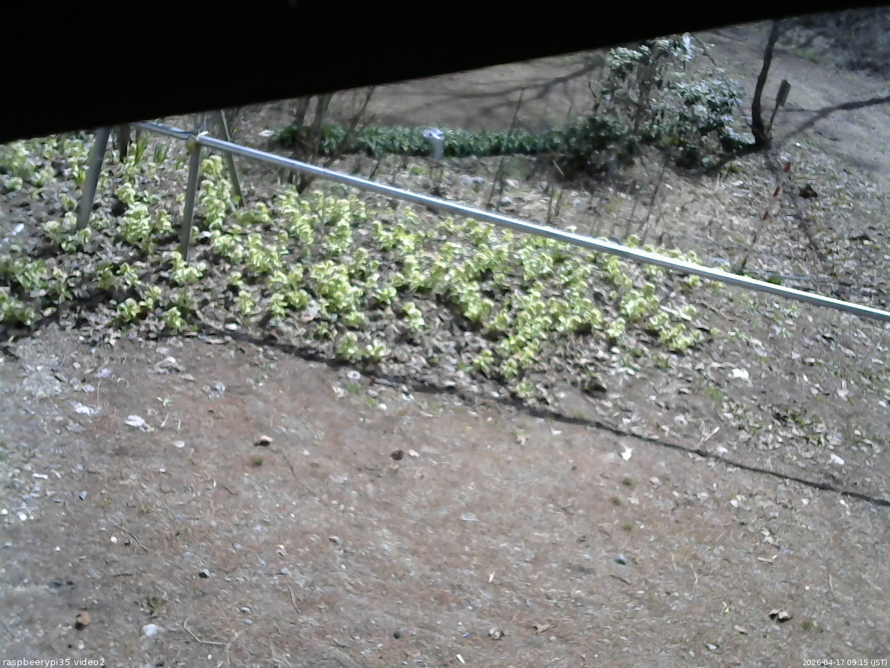 長野県菅平高原 ゆたか山荘 駐車場 2026/04/17 09:15