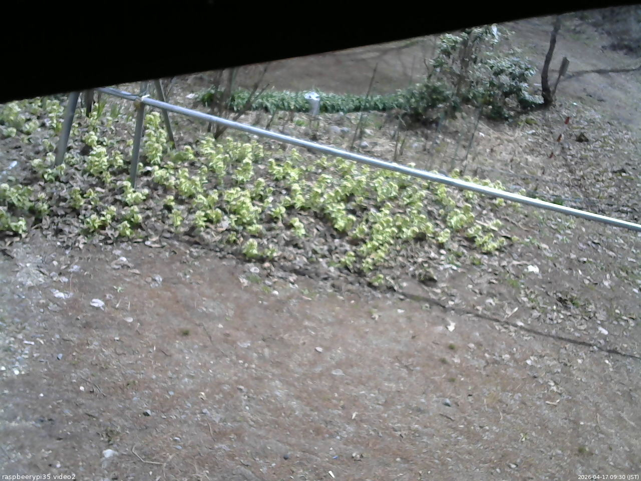 長野県菅平高原 ゆたか山荘 駐車場 2026/04/17 09:30