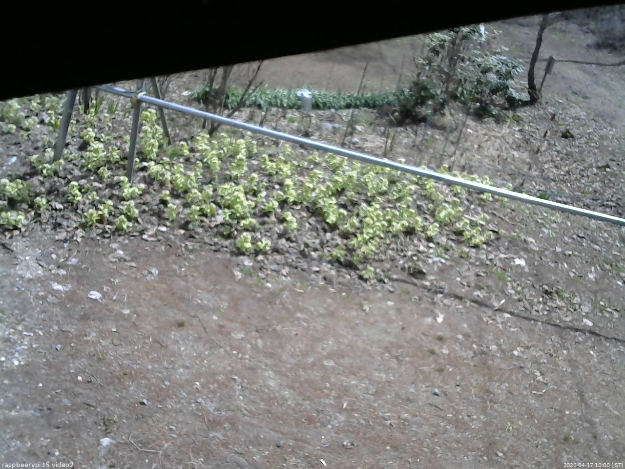 長野県菅平高原 ゆたか山荘 駐車場 2026/04/17 10:00