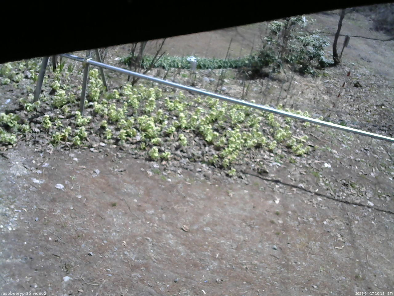 長野県菅平高原 ゆたか山荘 駐車場 2026/04/17 10:15