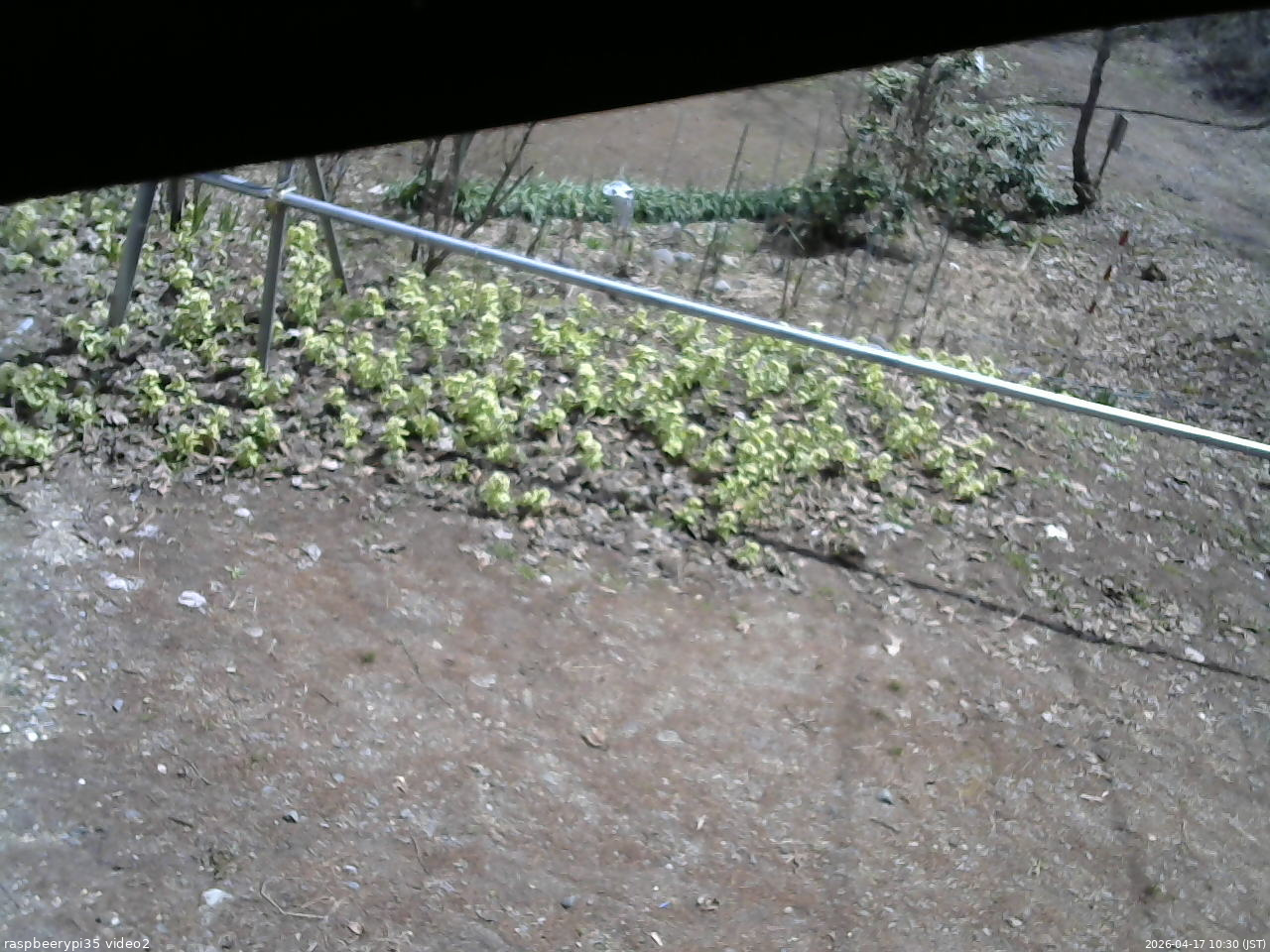 長野県菅平高原 ゆたか山荘 駐車場 2026/04/17 10:30