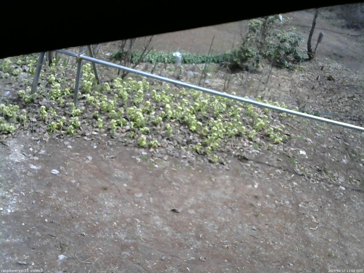 長野県菅平高原 ゆたか山荘 駐車場 2026/04/17 11:00
