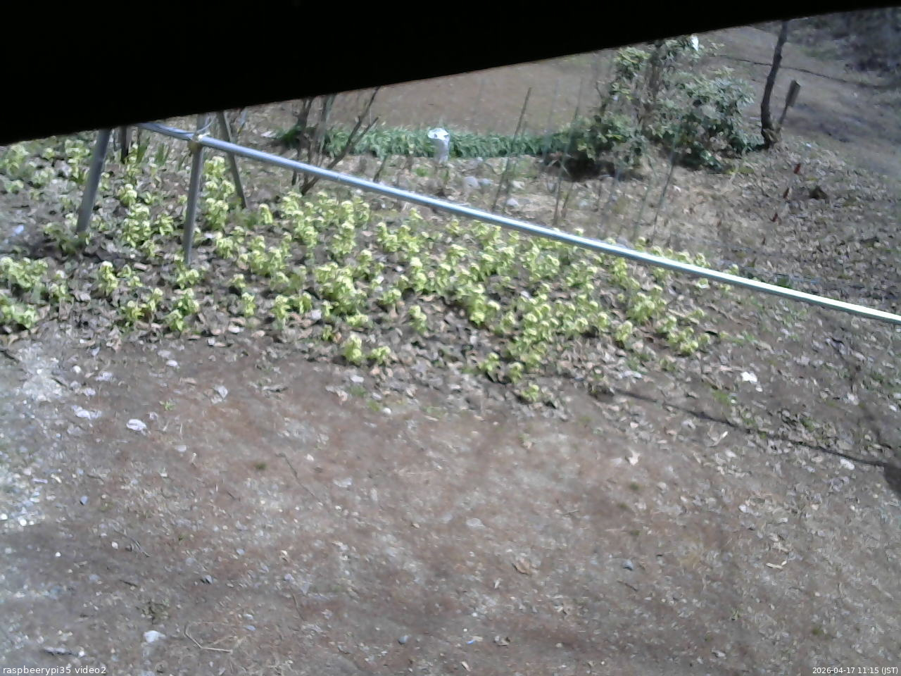 長野県菅平高原 ゆたか山荘 駐車場 2026/04/17 11:15