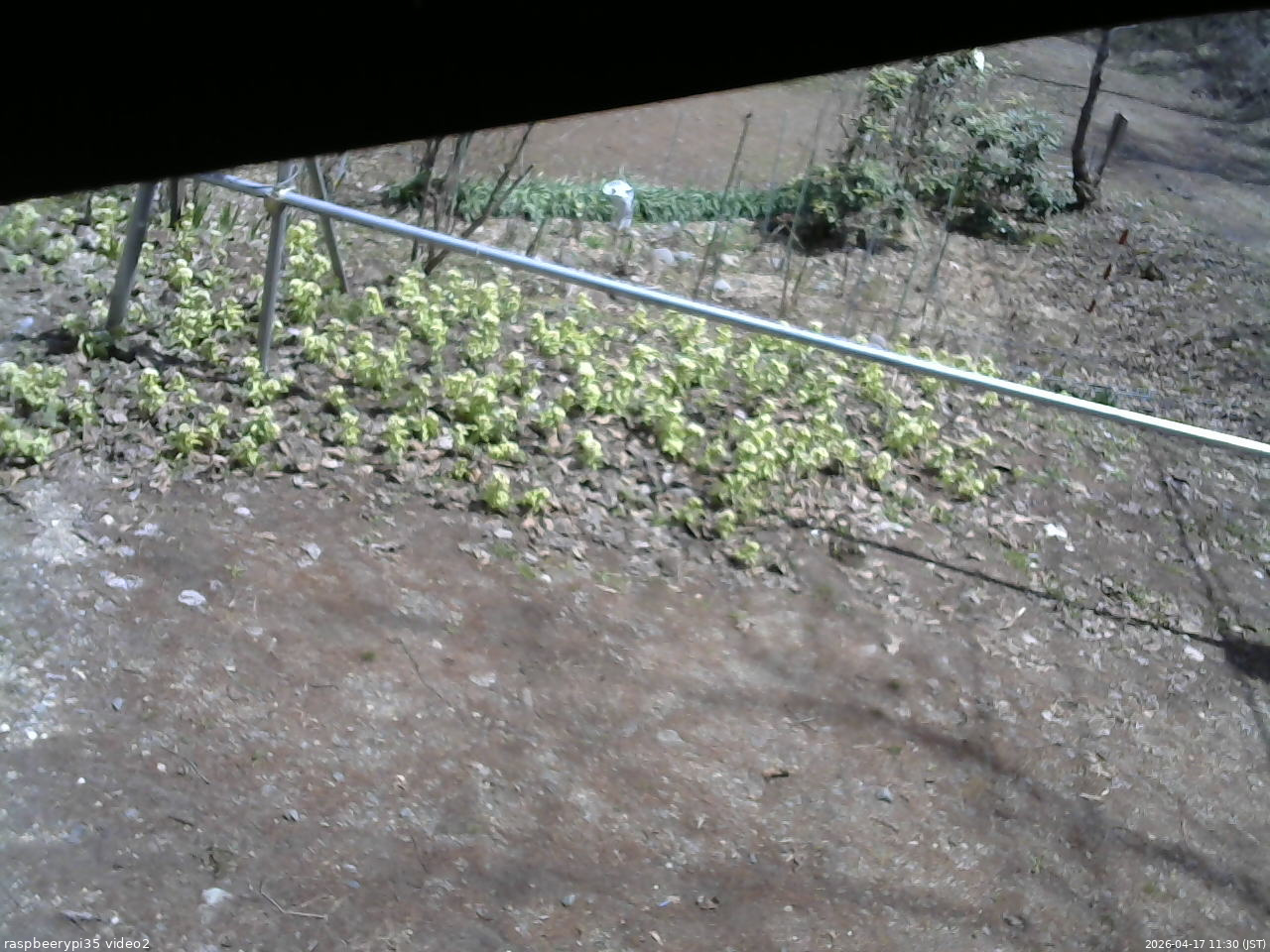 長野県菅平高原 ゆたか山荘 駐車場 2026/04/17 11:30