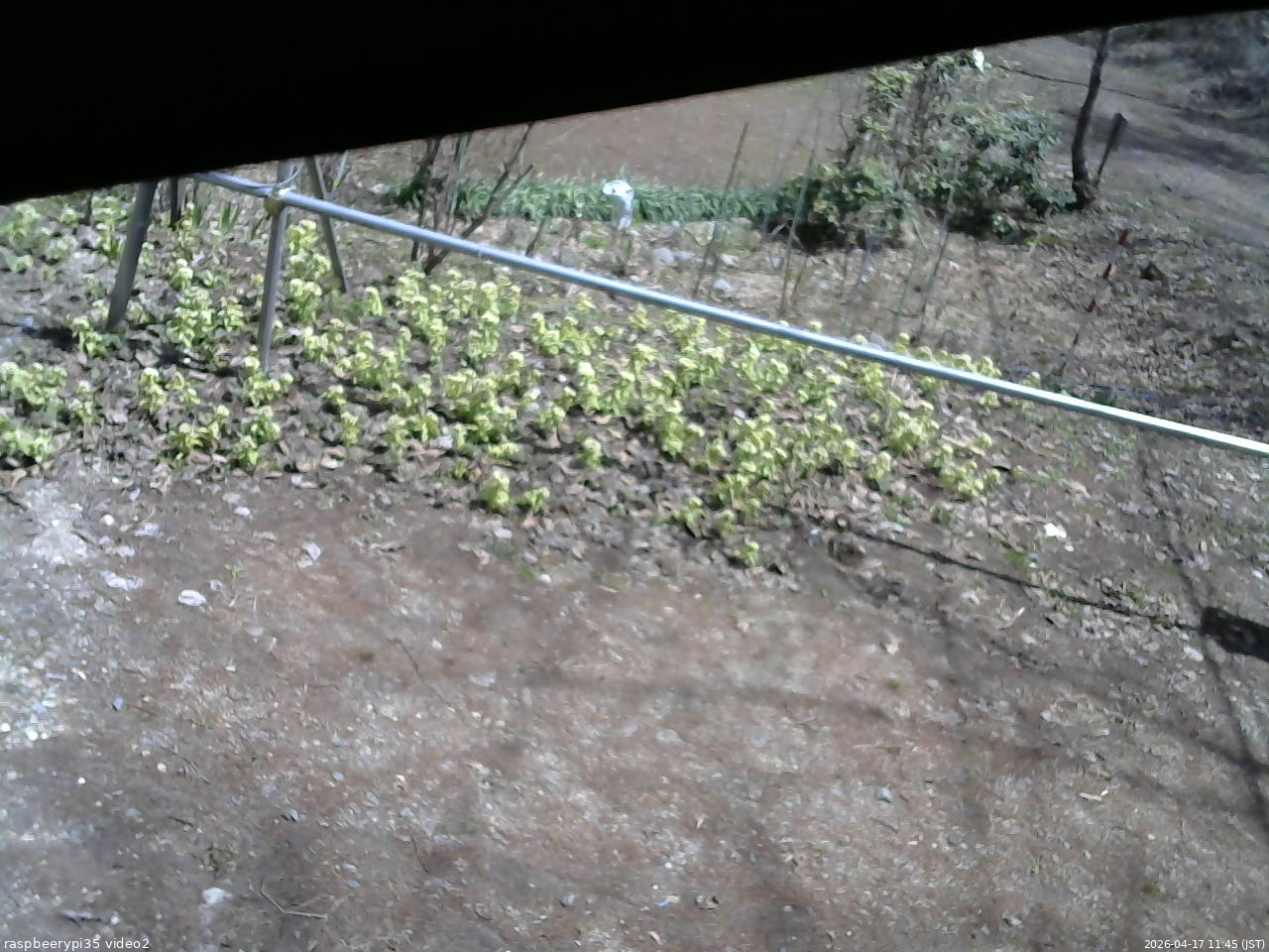 長野県菅平高原 ゆたか山荘 駐車場 2026/04/17 11:45