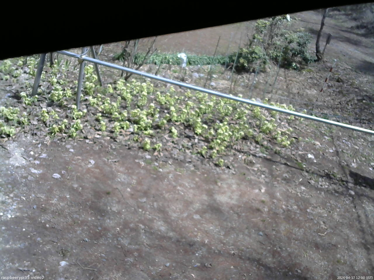 長野県菅平高原 ゆたか山荘 駐車場 2026/04/17 12:00