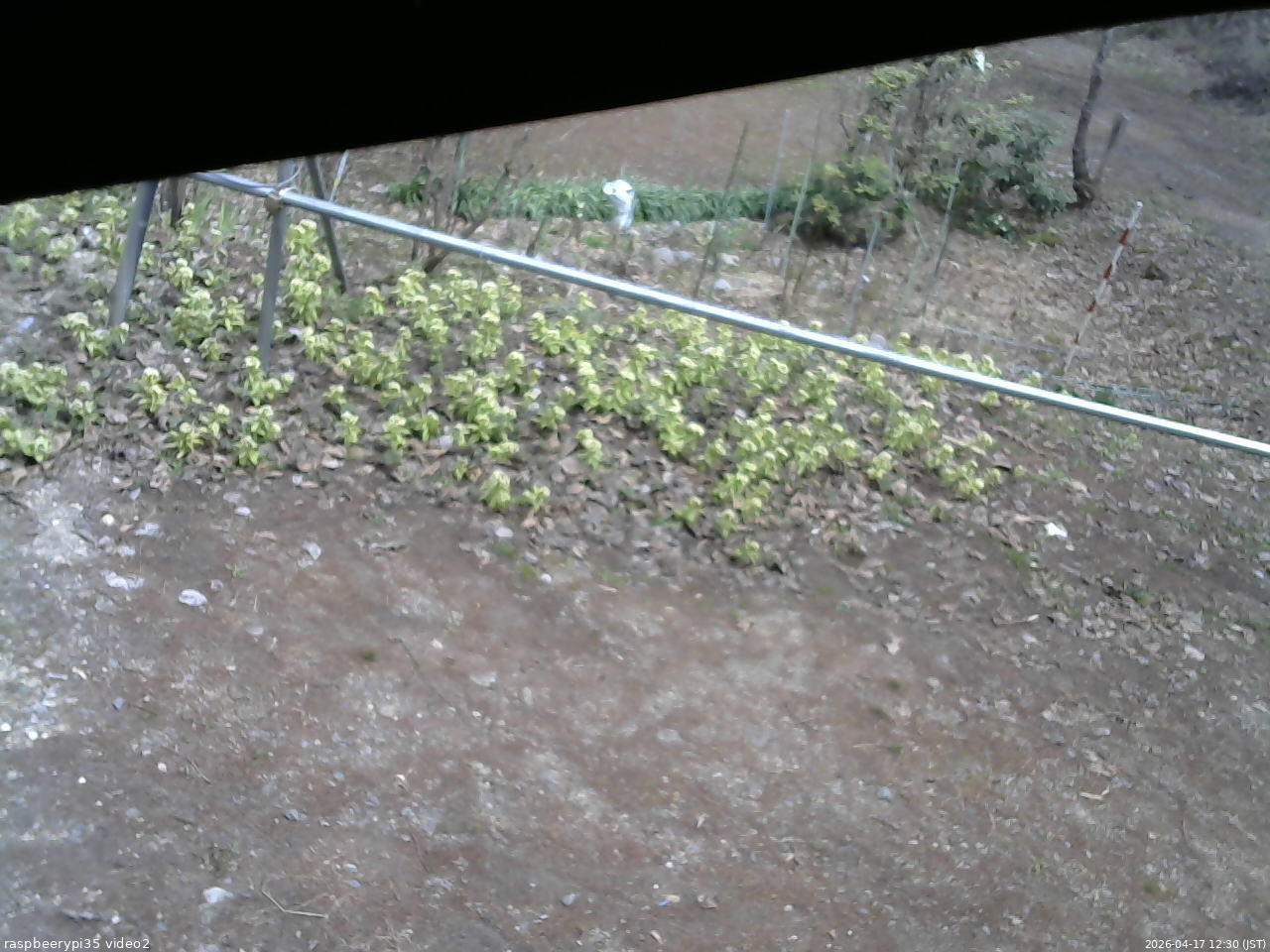長野県菅平高原 ゆたか山荘 駐車場 2026/04/17 12:30
