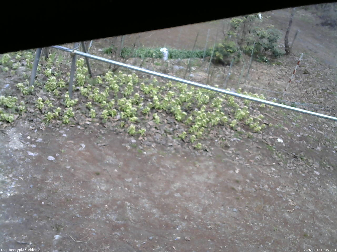 長野県菅平高原 ゆたか山荘 駐車場 2026/04/17 12:45