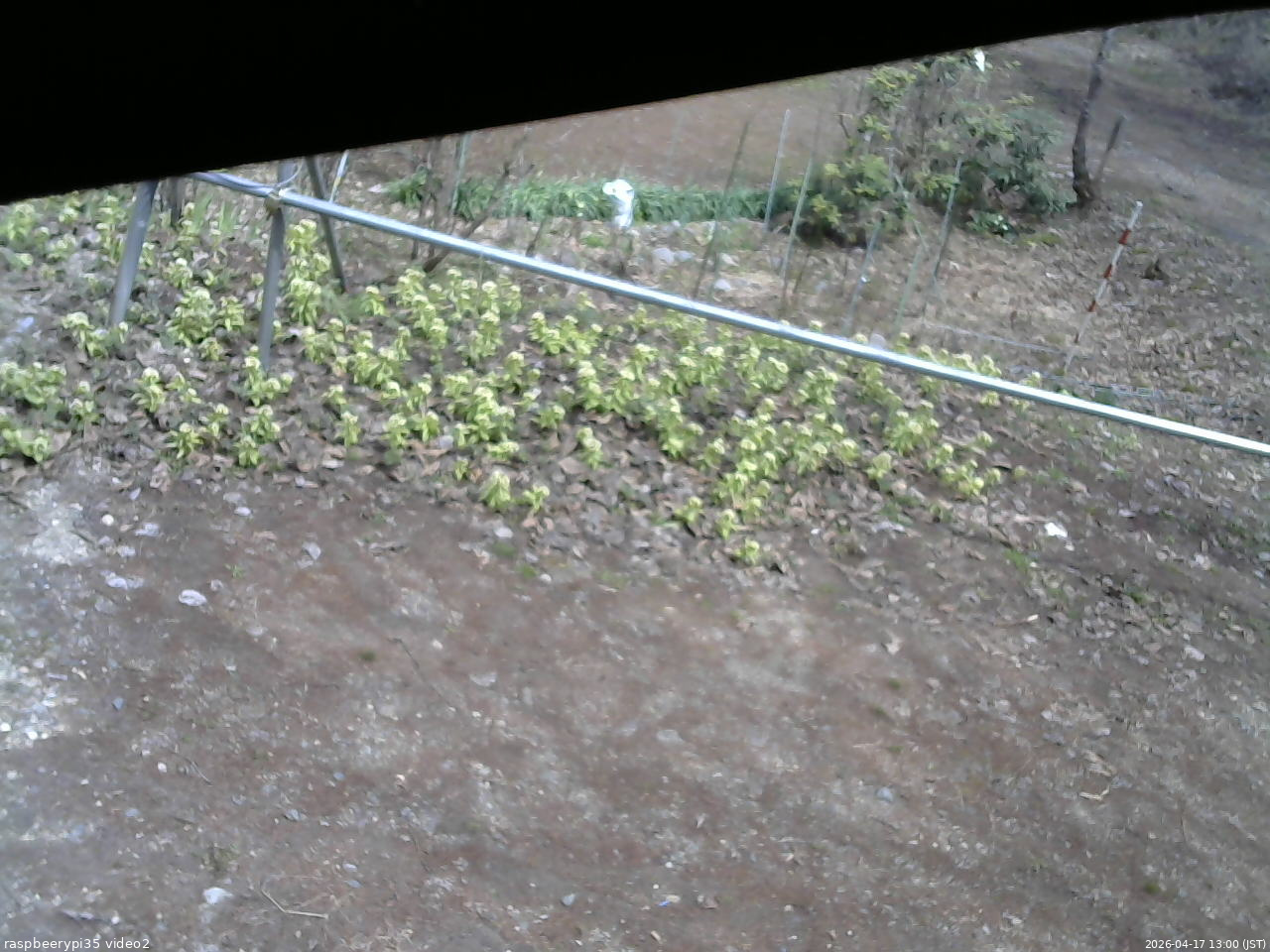 長野県菅平高原 ゆたか山荘 駐車場 2026/04/17 13:00