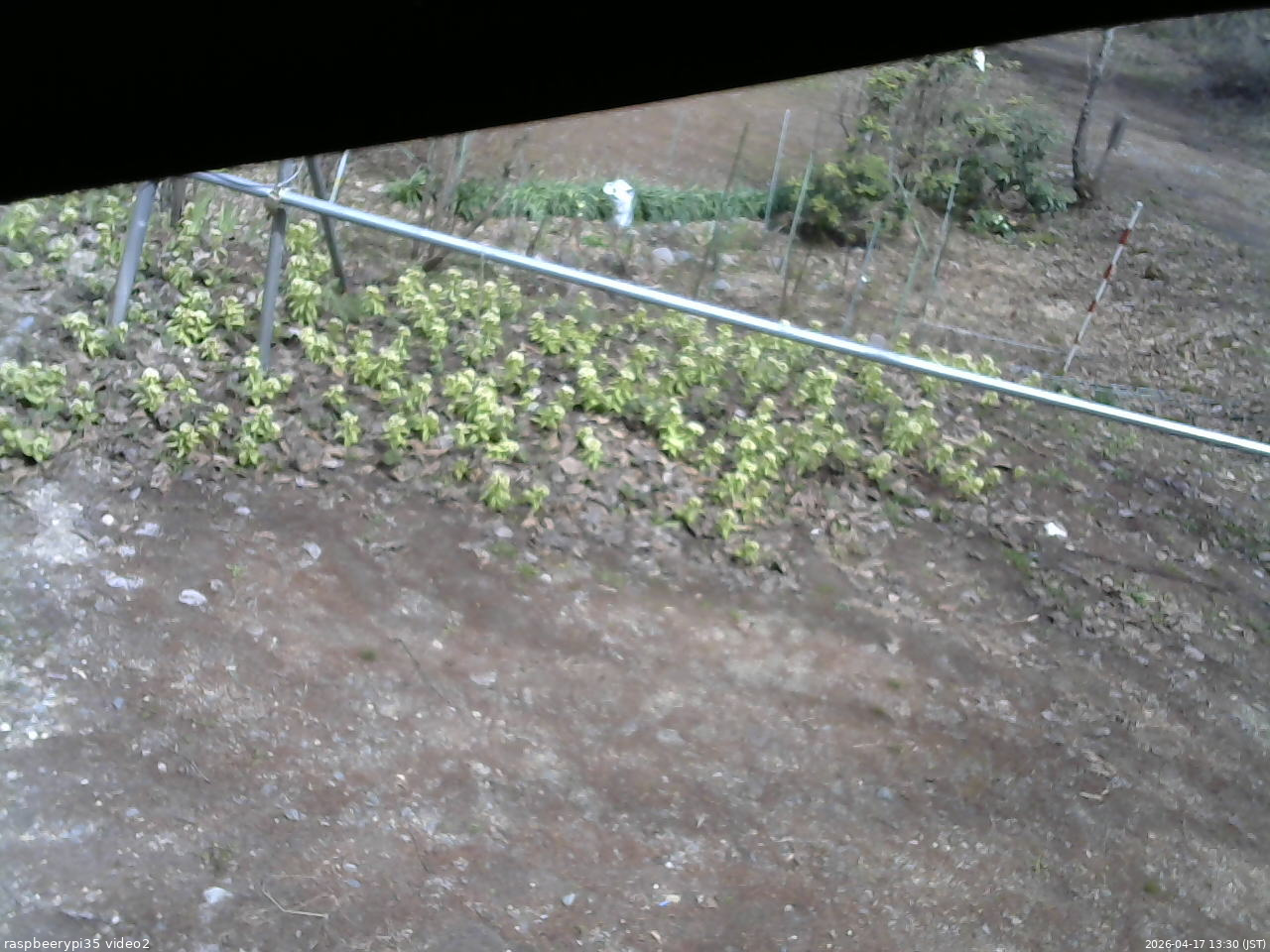 長野県菅平高原 ゆたか山荘 駐車場 2026/04/17 13:30