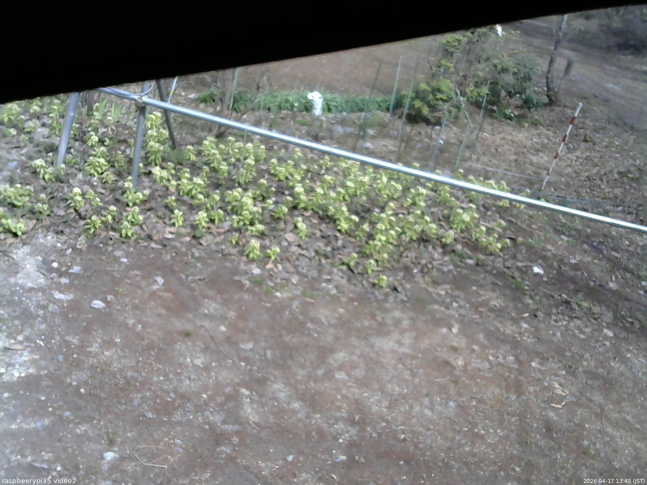 長野県菅平高原 ゆたか山荘 駐車場 2026/04/17 13:45