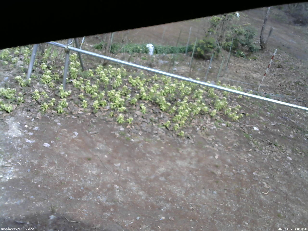 長野県菅平高原 ゆたか山荘 駐車場 2026/04/17 14:00