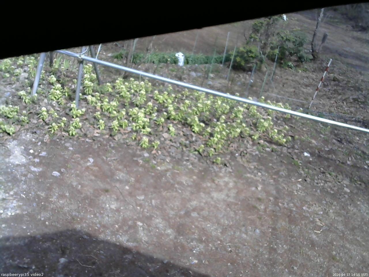 長野県菅平高原 ゆたか山荘 駐車場 2026/04/17 14:15