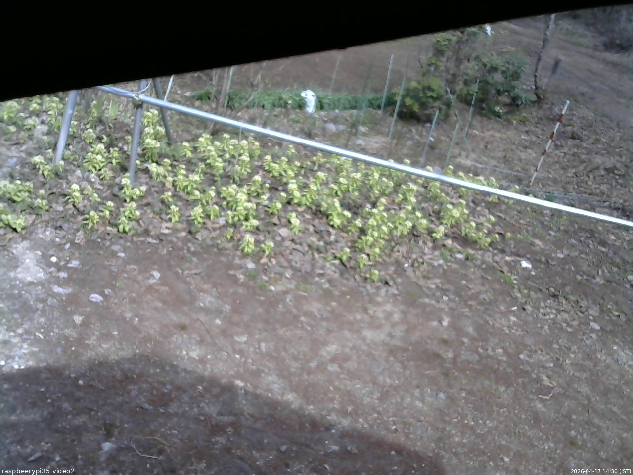 長野県菅平高原 ゆたか山荘 駐車場 2026/04/17 14:30