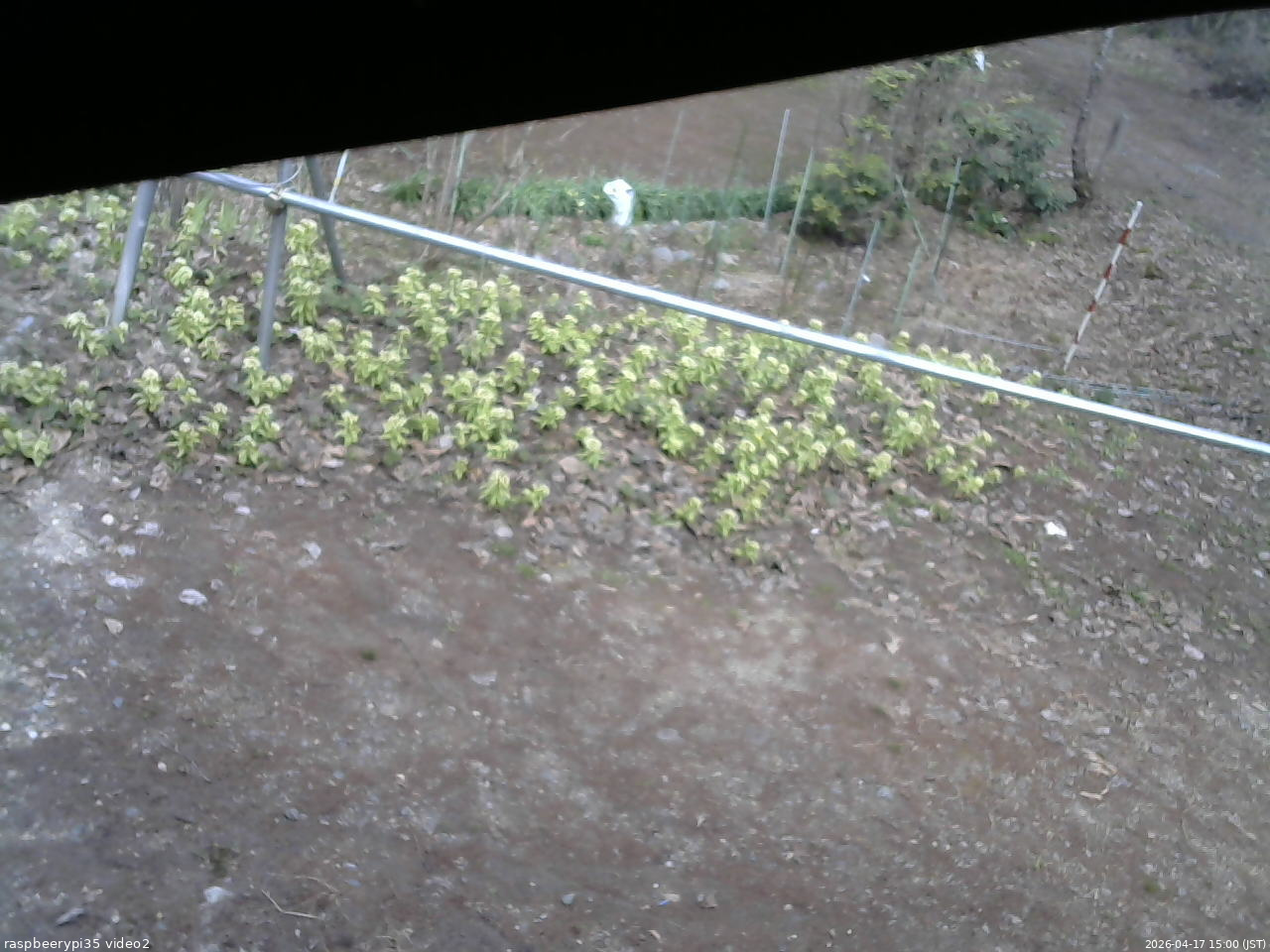 長野県菅平高原 ゆたか山荘 駐車場 2026/04/17 15:00