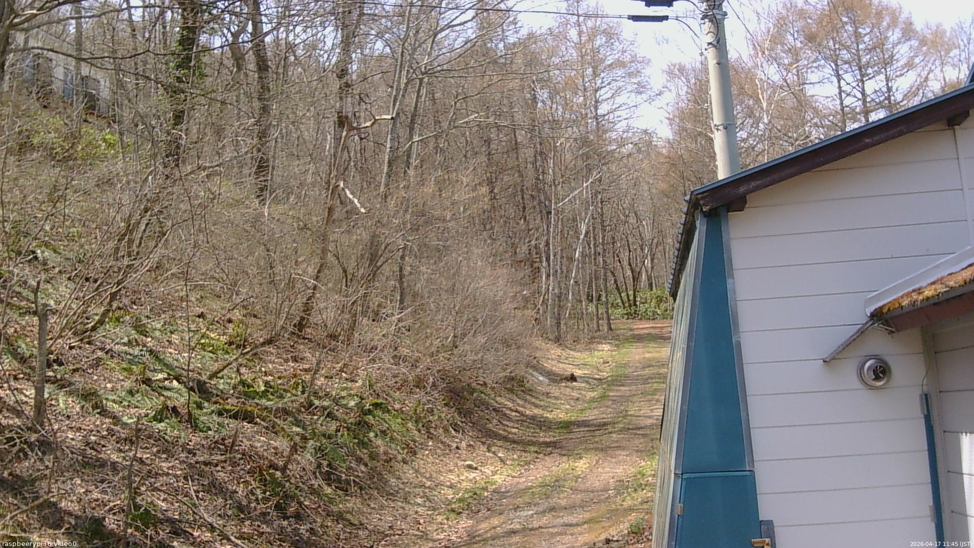 長野県菅平高原 ゆたか山荘 ゆたか山荘 2026/04/17 11:45