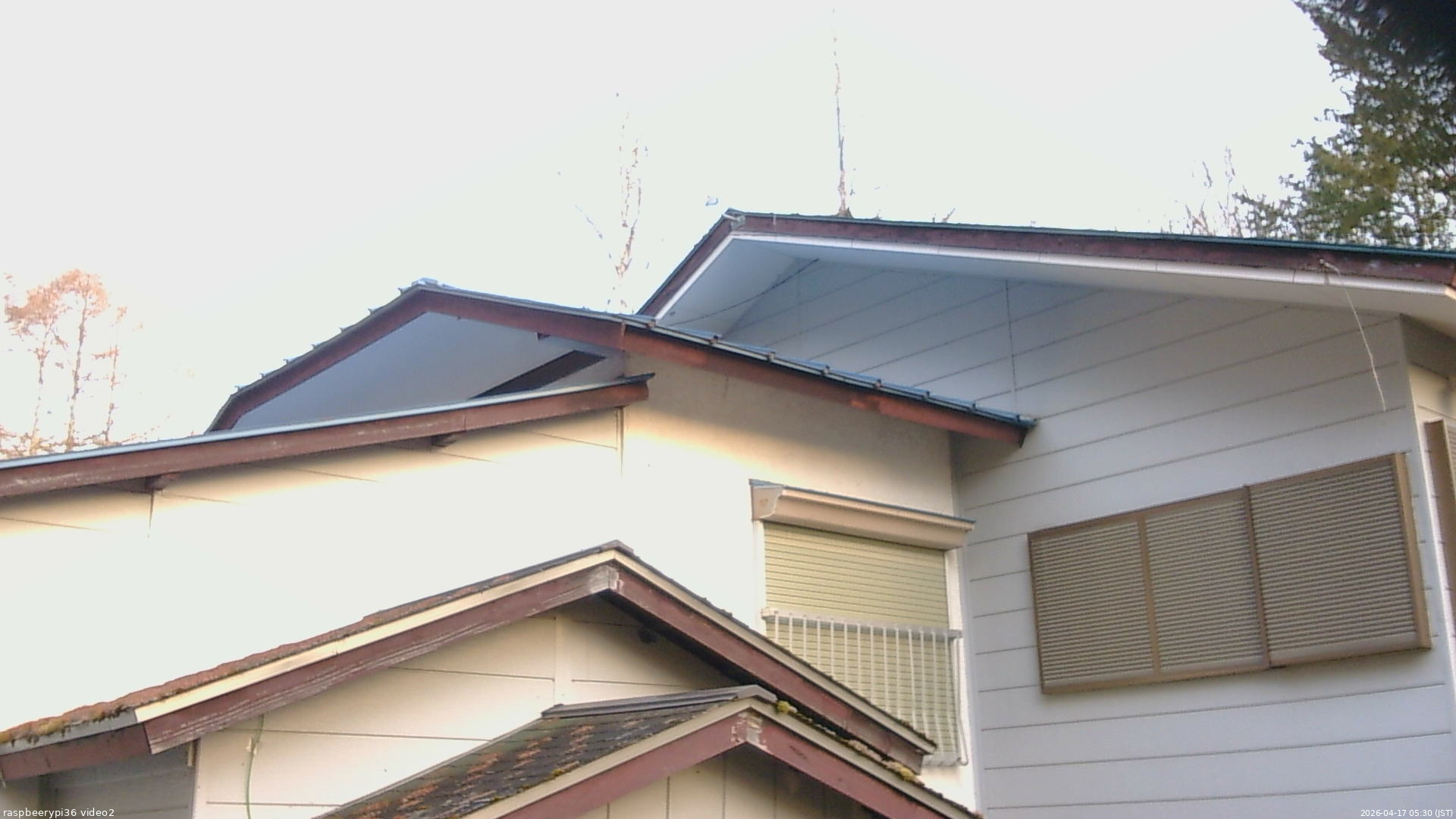 長野県菅平高原 ゆたか山荘 駐車場奥 2026/04/17 05:30