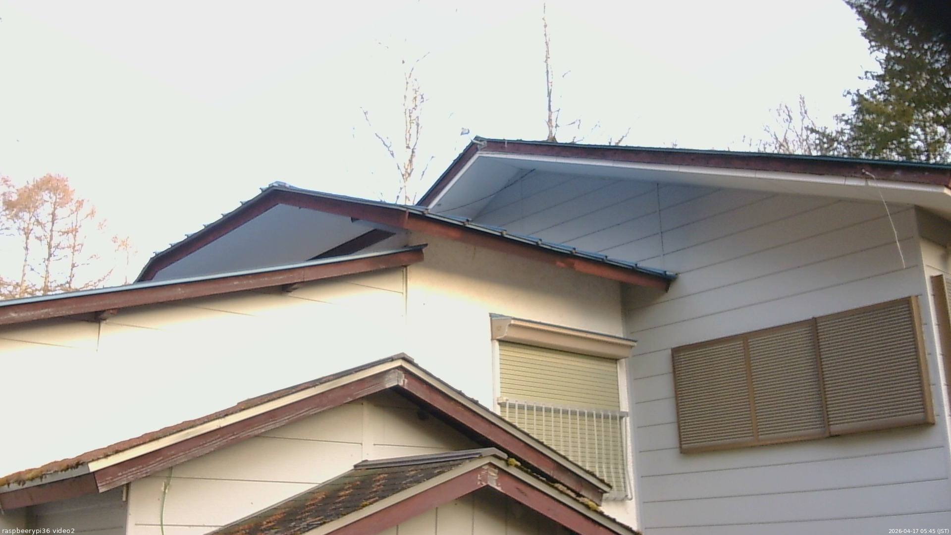 長野県菅平高原 ゆたか山荘 駐車場奥 2026/04/17 05:45